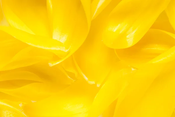 Yellow abstract background — Stock Photo, Image