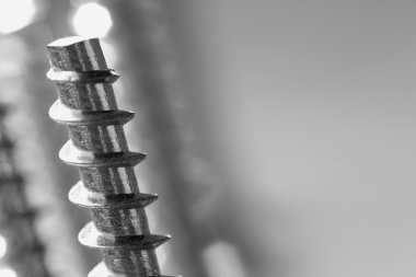 ahşap vida closeup