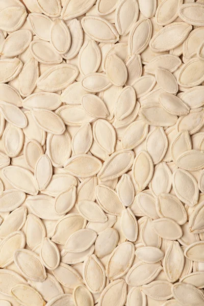 Sfondo semi di zucca — Foto Stock