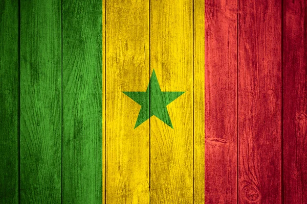国旗的塞内加 — 图库照片