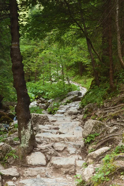 Mountain path — Stock Photo, Image