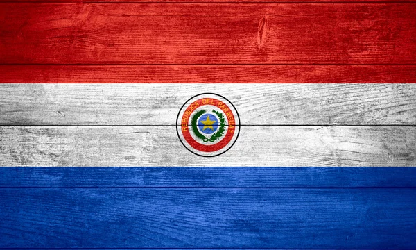 Bandeira do paraguai — Fotografia de Stock