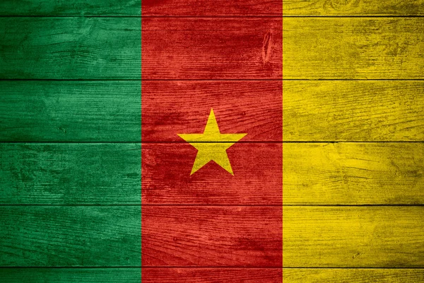 Bendera Kamerun — Stok Foto