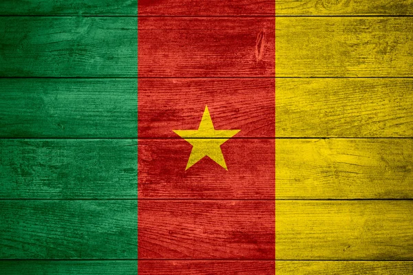 Drapeau du Cameroun — Photo