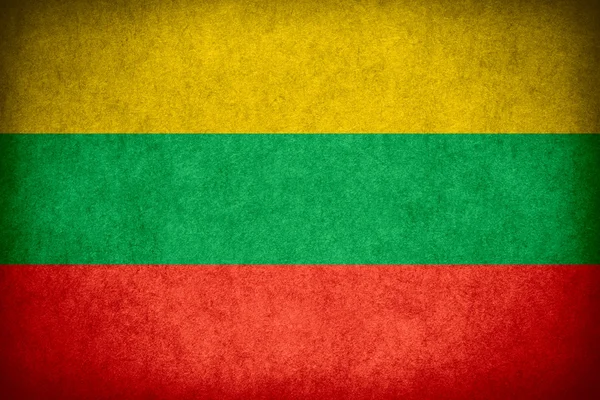 리투아니아의 국기 — 스톡 사진