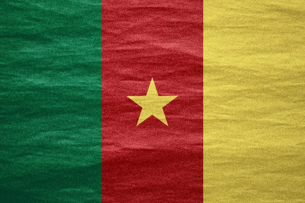 Drapeau du Cameroun — Photo