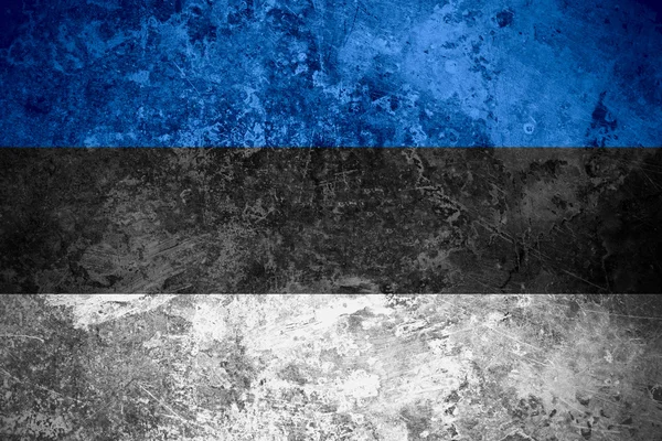 Bandera de Estonia — Foto de Stock