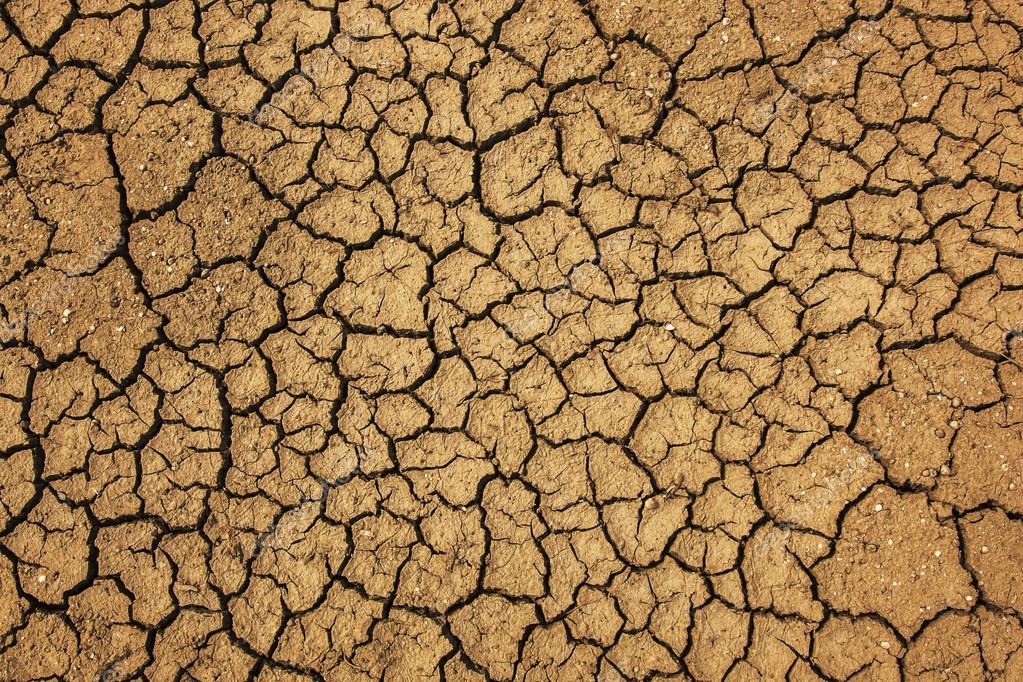 Arid land — Stock Photo © R.Mendolo 29563451