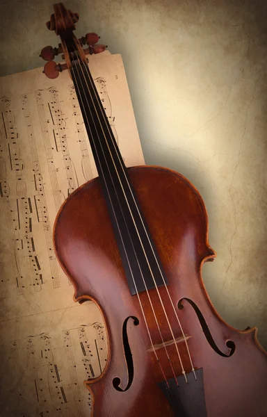 中提琴 — 图库照片