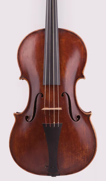 Viola Stock Picture