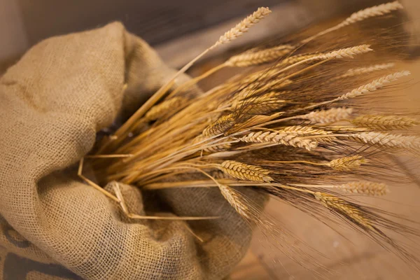 Cereals — Stock Photo, Image