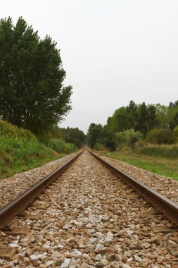 boş demiryolu parça yalak woods bulut gün