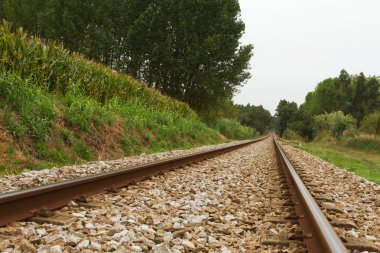 boş demiryolu parça yalak woods bulut gün