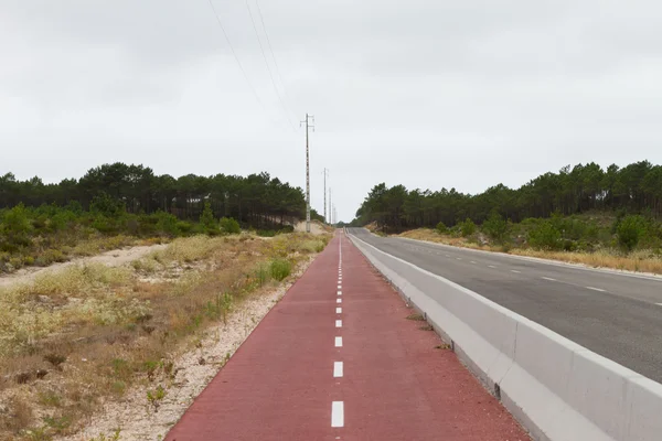 Strada Pista ciclabile rossa contro foresta e cielo nuvoloso — Foto Stock