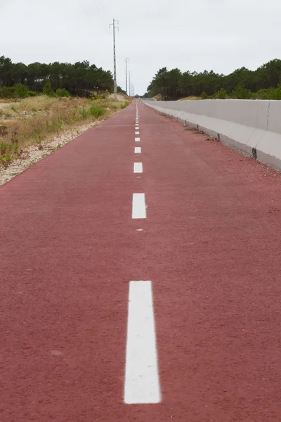 Strada Pista ciclabile rossa contro foresta e cielo nuvoloso — Foto Stock