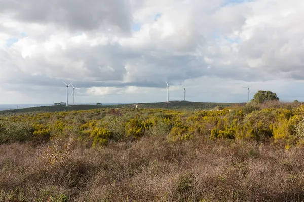 Windmills Park — Stock Photo, Image