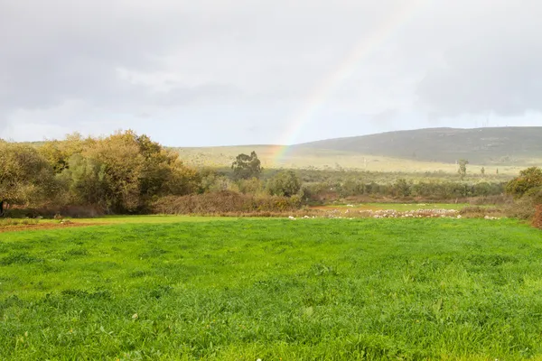 Arco iris rural — Foto de Stock