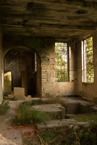 Salón de la Naturaleza — Foto de Stock