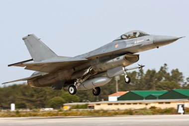 Monte real, Portekiz-Nisan 7: f16 Portekizli kalkıyor. gerçek tezcan nato egzersiz temel n.5 monte real adlı katılan, fap ve NATO'nun entegre Nisan tarihinde 7,2011 içinde monte real, Portekiz 