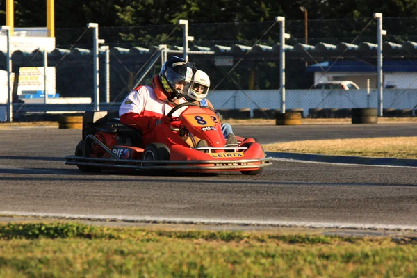 Raza van los karts — Foto de Stock