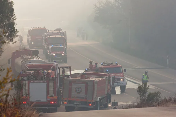 Pombal, Portekiz - 15 Temmuz: itfaiye araçları bu orman yangını önlemek için bir yol üzerinde haçlar yolda, pombal, Portekiz 15 Temmuz 2012 — Stok fotoğraf