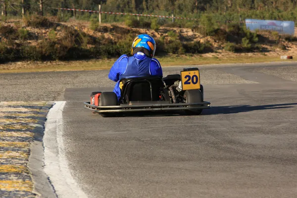 Gå karting race Royaltyfria Stockbilder