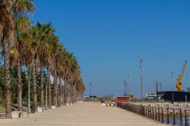 Cadiz şehrinde astilleros denizinde palmiye ağaçları olan manzara.