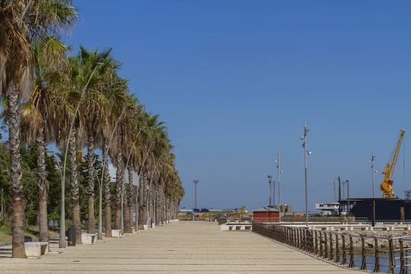 Paysage Avec Des Palmiers Sur Front Mer Astilleros Dans Ville — Photo