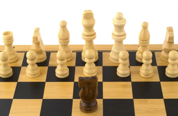 Chess game on white background — Stock Photo, Image