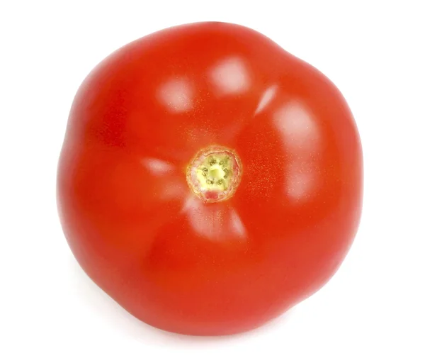 Tomate isolado sobre fundo branco — Fotografia de Stock