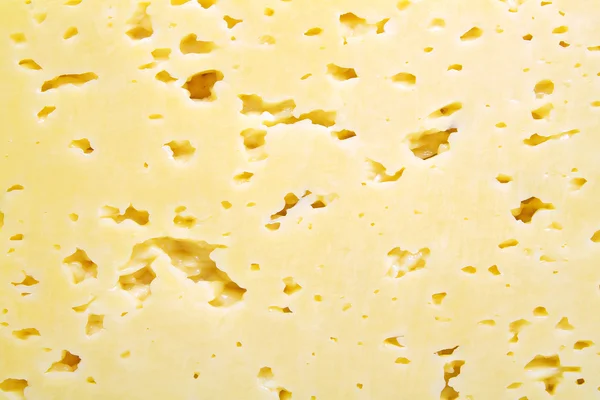 Background of fresh yellow Swiss cheese with holes — Stock Photo, Image