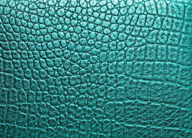 timsah derisi, arka plan olarak kullanabilirsiniz 