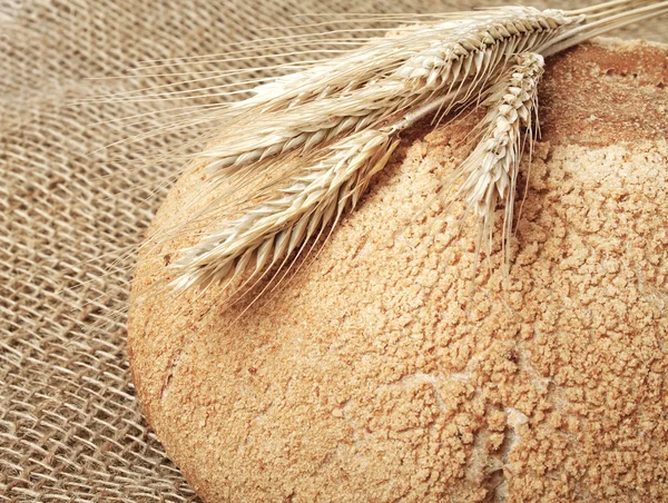 Brot und Weizenstiele auf einem Klecks Hintergrund — Stockfoto
