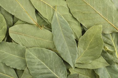 Arka plan olarak kurumuş aromatik defne yaprakları yığını. Kurumuş defne yaprakları dokusu.