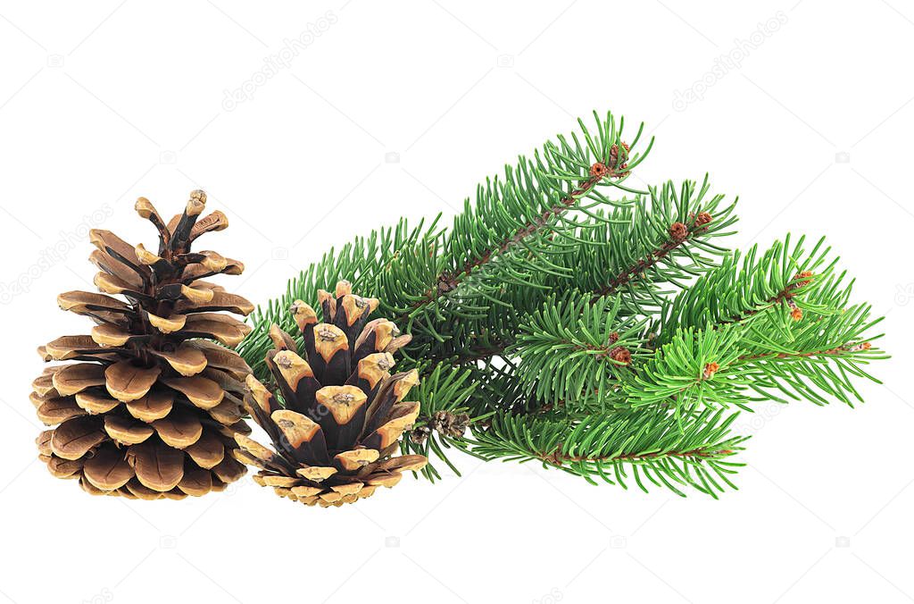 Christmas decoration - two pine cones with fir tree branch isolated on a white background.