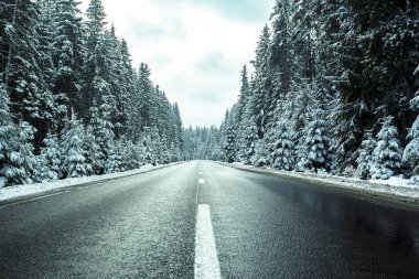 Kış ormanında yol. Karla kaplı ağaçlarla kaplı kış manzarası.
