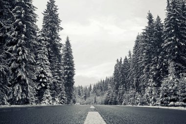 Kış ormanında yol. Karla kaplı ağaçlarla kaplı kış manzarası.