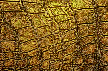Arka plan olarak sarı timsah deri dokusu. Altın timsah deseni.