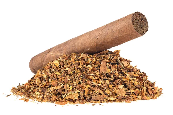 Mucchio Foglie Tabacco Essiccate Sigaro Marrone Isolato Fondo Bianco — Foto Stock