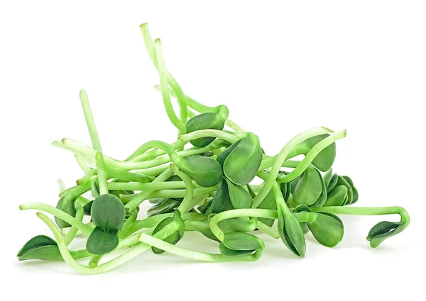 Vegan Sunflower Greens Shoots Microgreens Sprouts Isolated White Background — Stock Photo, Image