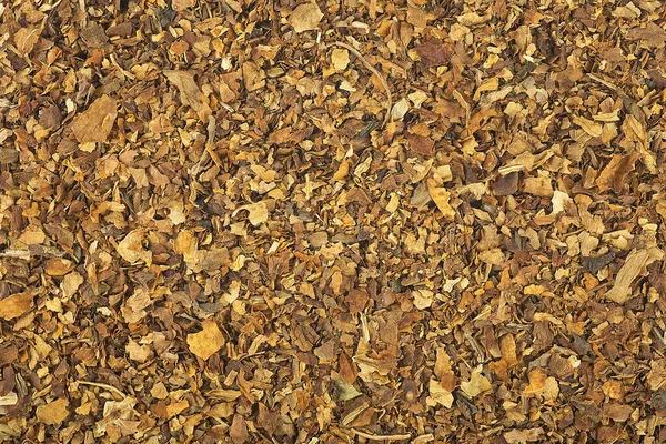 Fumar Tabaco Seco Como Fondo Macro Textura Tabaco Recién Cortado — Foto de Stock