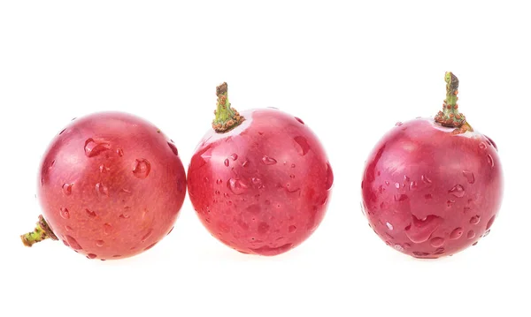 Dojrzałe Czerwone Winogrona Kroplami Wody Izolowane Białym Tle — Zdjęcie stockowe