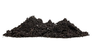 Beyaz arka planda izole edilmiş humus toprağı yığını. Toprak yığını..