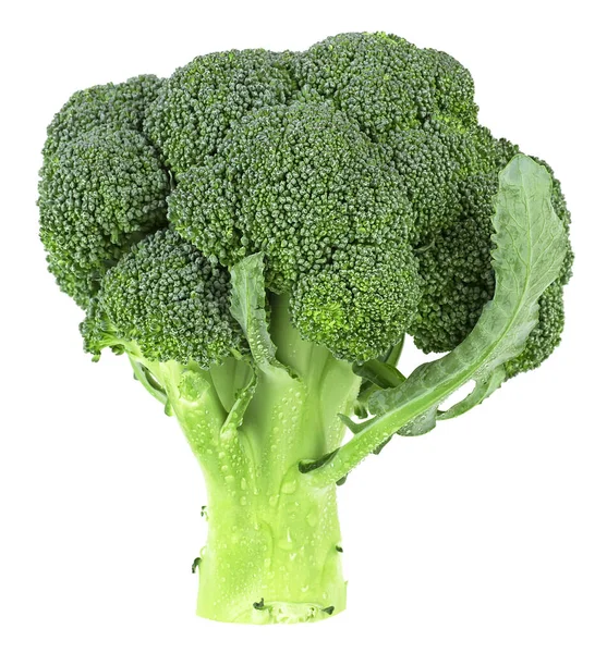 Frischer Roher Grüner Brokkoli Isoliert Auf Weißem Hintergrund Saftiger Brokkoli — Stockfoto