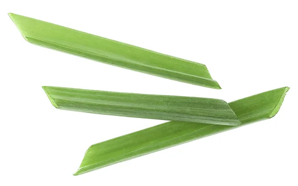 Young Green Onion Isolated White Background Top View Chives Isolated — Stock Photo, Image