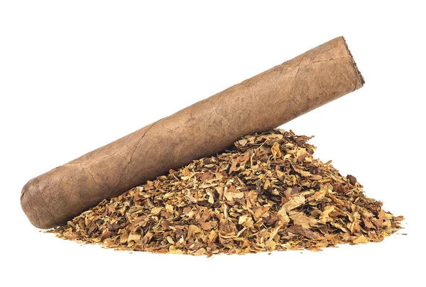 Pile Dried Tobacco Leaves Brown Cigar Isolated White Background — Stock Photo, Image