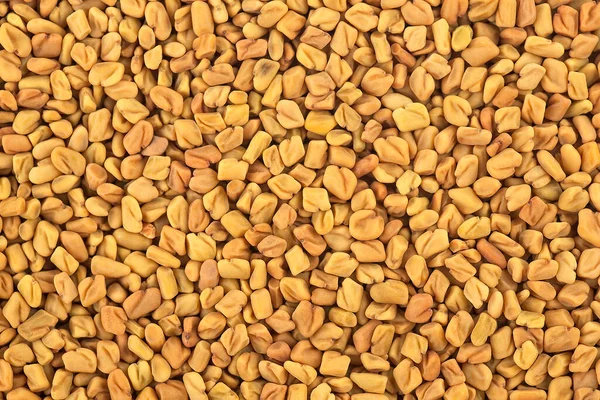 Fenugreek Seeds Background Culinary Ingredient Methi Dana Hulba Heyseed Dari — Stock Photo, Image