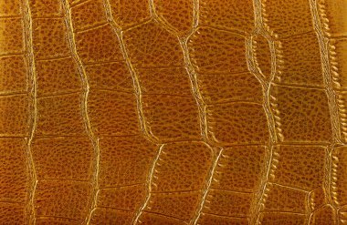 Arka plan olarak kahverengi timsah derisi dokusu. Altın timsah deseni.