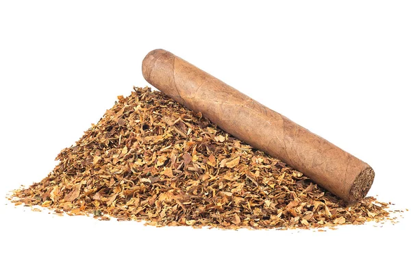 Brun Cigarr Och Hög Med Torkade Tobaksblad Isolerade Vit Bakgrund — Stockfoto