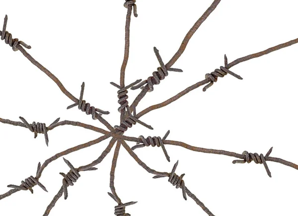Rusty Security Barbed Wire Isolated White Background Web — Fotografia de Stock